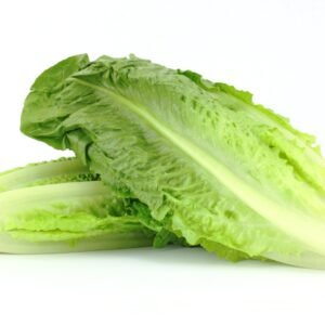 Lettuce Lobjoits Green Seeds
