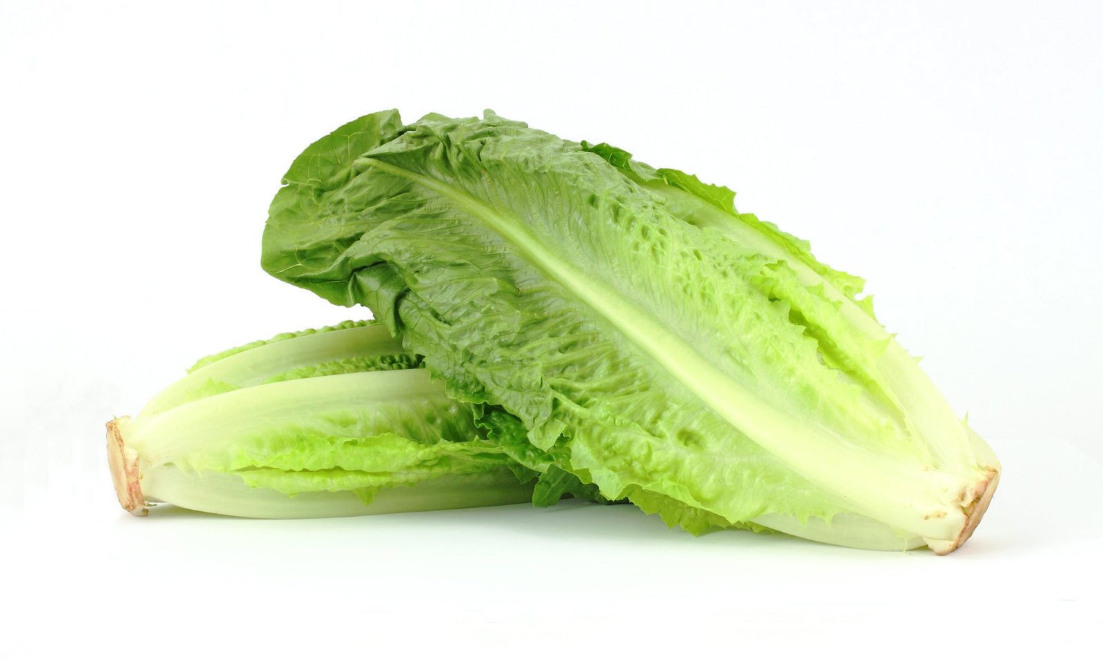 Lettuce Lobjoits Green Seeds