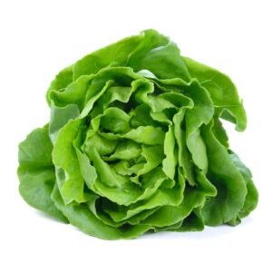 Lettuce Winter Arctic King Seeds