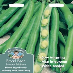 Mr Fothergills Broad Bean Bunyards Exhibition 50 Seeds