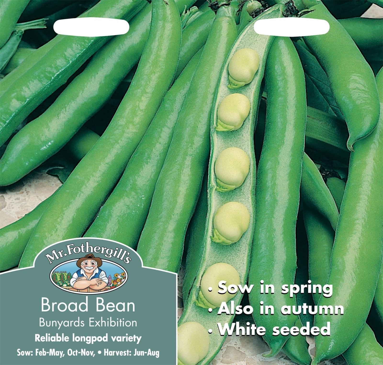 Mr Fothergills Broad Bean Bunyards Exhibition 50 Seeds