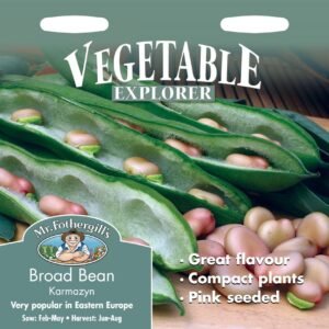 Mr Fothergills Broad Bean Karmazyn 50 Seeds