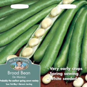 Mr Fothergills Broad Bean Monica 45 Seeds
