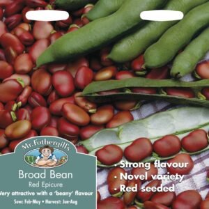 Mr Fothergills Broad Bean Red Epicure 45 Seeds