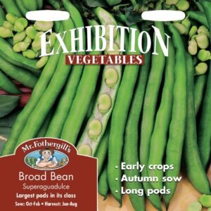 Mr Fothergills Broad Bean Superaguadulce 50 Seeds