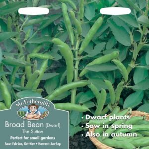Mr Fothergills Broad Bean The Sutton Dwarf 50 Seeds