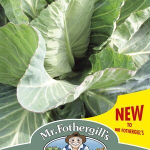 Mr Fothergills Cabbage Summer Jewel F1 50 Seeds
