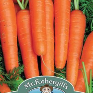 Mr Fothergills Carrot Speedo F1 Seeds