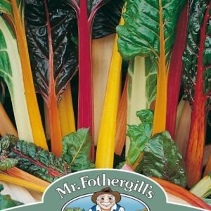 Mr Fothergills Chard Bright Lights 150 Seeds