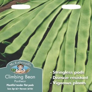 Mr Fothergills Climbing Bean Pantheon 50 Seeds