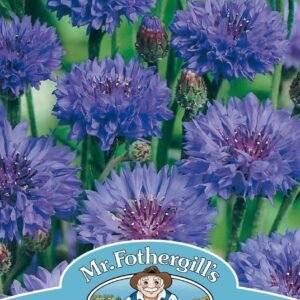 Mr Fothergills Cornflower Blue Ball 250 Seeds
