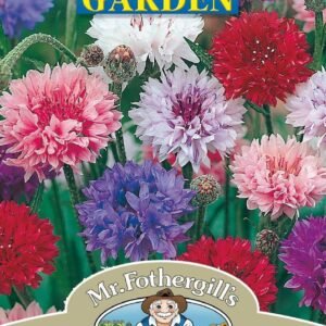 Mr Fothergills Cornflower Polka Dot 500 Seeds