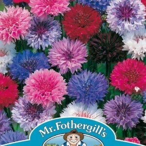 Mr Fothergills Cornflower Tall Mixed 500 Seeds
