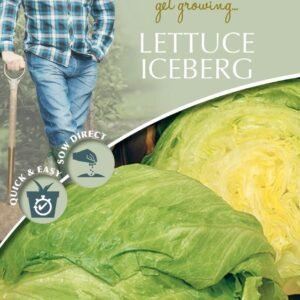 Mr Fothergills - David Domoney - Vegetable - Lettuce Iceberg - Balmoral - 500 Seeds