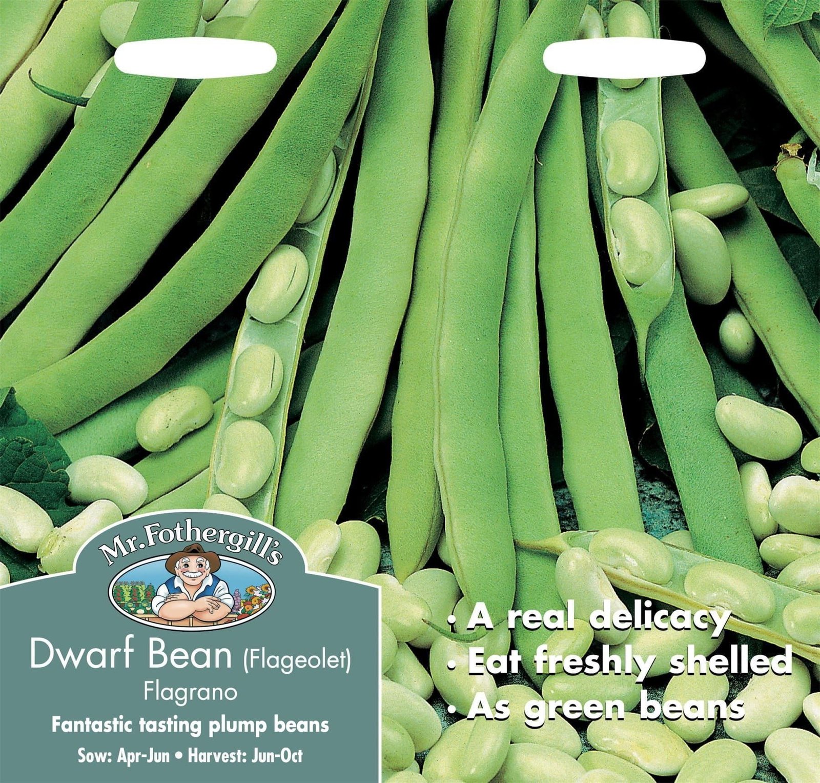 Mr Fothergills Dwarf Bean Flageolet Flagrano 100 Seeds