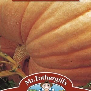 Mr Fothergills Pumpkin Atlantic Giant 10 Seeds