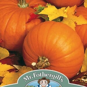 Mr Fothergills Pumpkin Baby Bear 10 Seeds