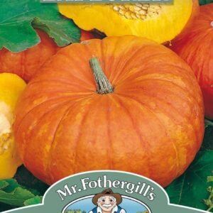 Mr Fothergills Pumpkin Rouge Vif d'etampes 10 Seeds