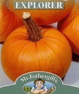 Mr Fothergills Pumpkin Small Sugar 20 Seeds