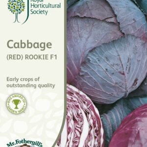 Mr Fothergills RHS Cabbage (Red) Rookie F1 50 Seeds