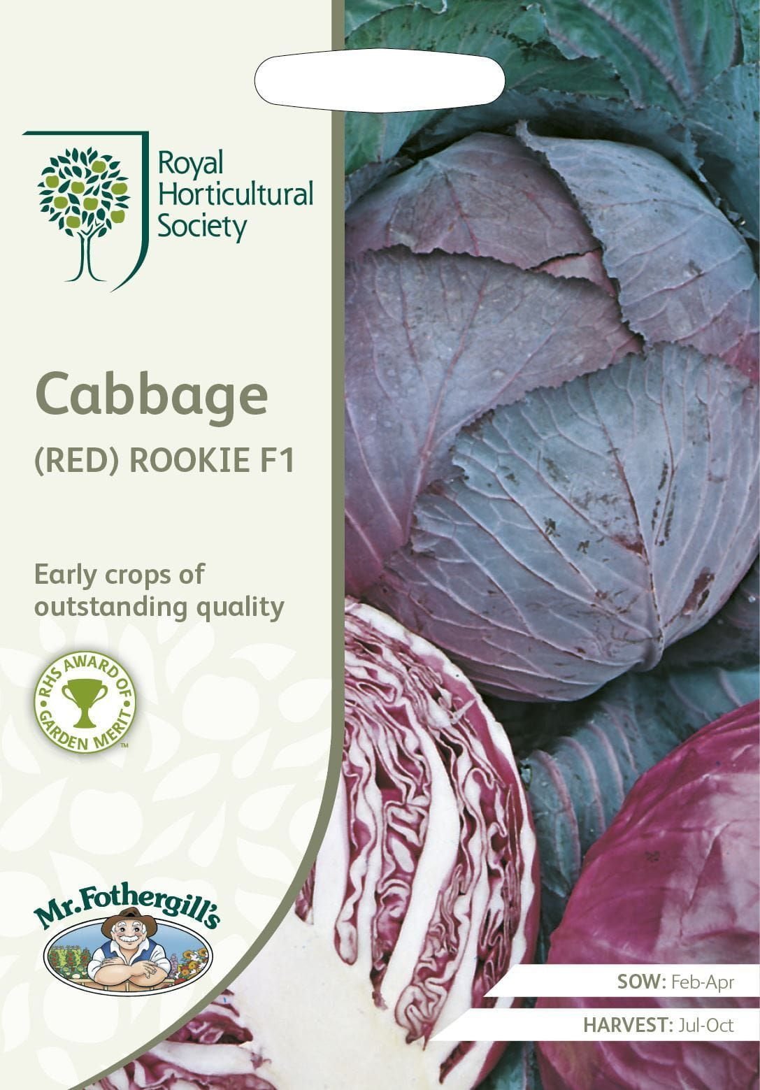 Mr Fothergills RHS Cabbage (Red) Rookie F1 50 Seeds
