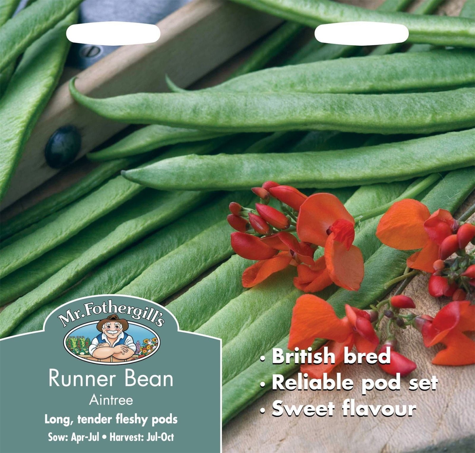 Mr Fothergills Runner Bean Aintree 45 Seeds