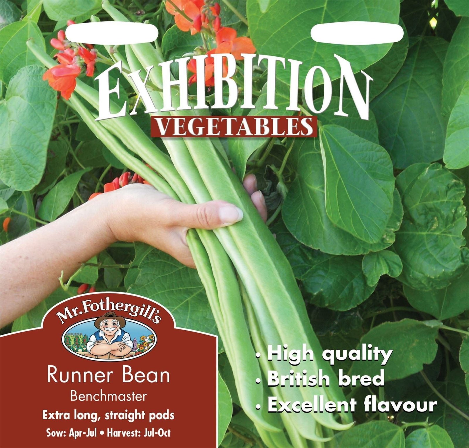 Mr Fothergills Runner Bean Benchmaster 40 Seeds