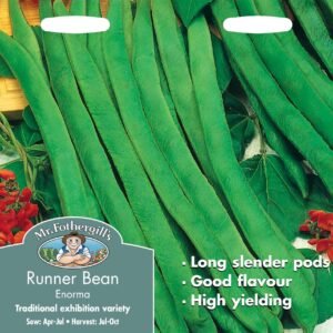 Mr Fothergills Runner Bean Enorma 50 Seeds