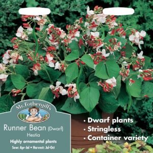 Mr Fothergills Runner Bean Hestia Dwarf 45 Seeds