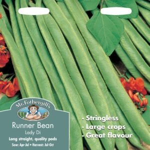 Mr Fothergills Runner Bean Lady Di Stringless 45 Seeds