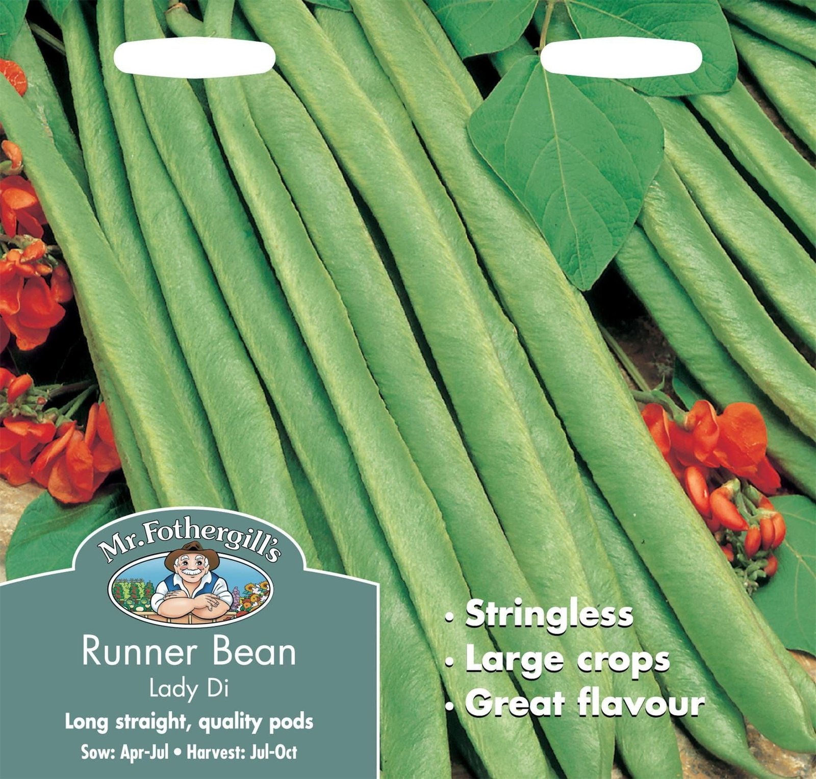 Mr Fothergills Runner Bean Lady Di Stringless 45 Seeds