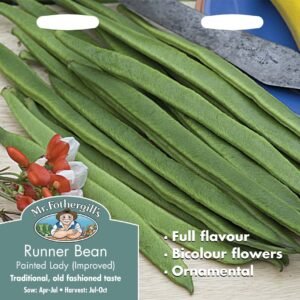 Mr Fothergills Runner Bean Painted Lady Improved 40 Seeds