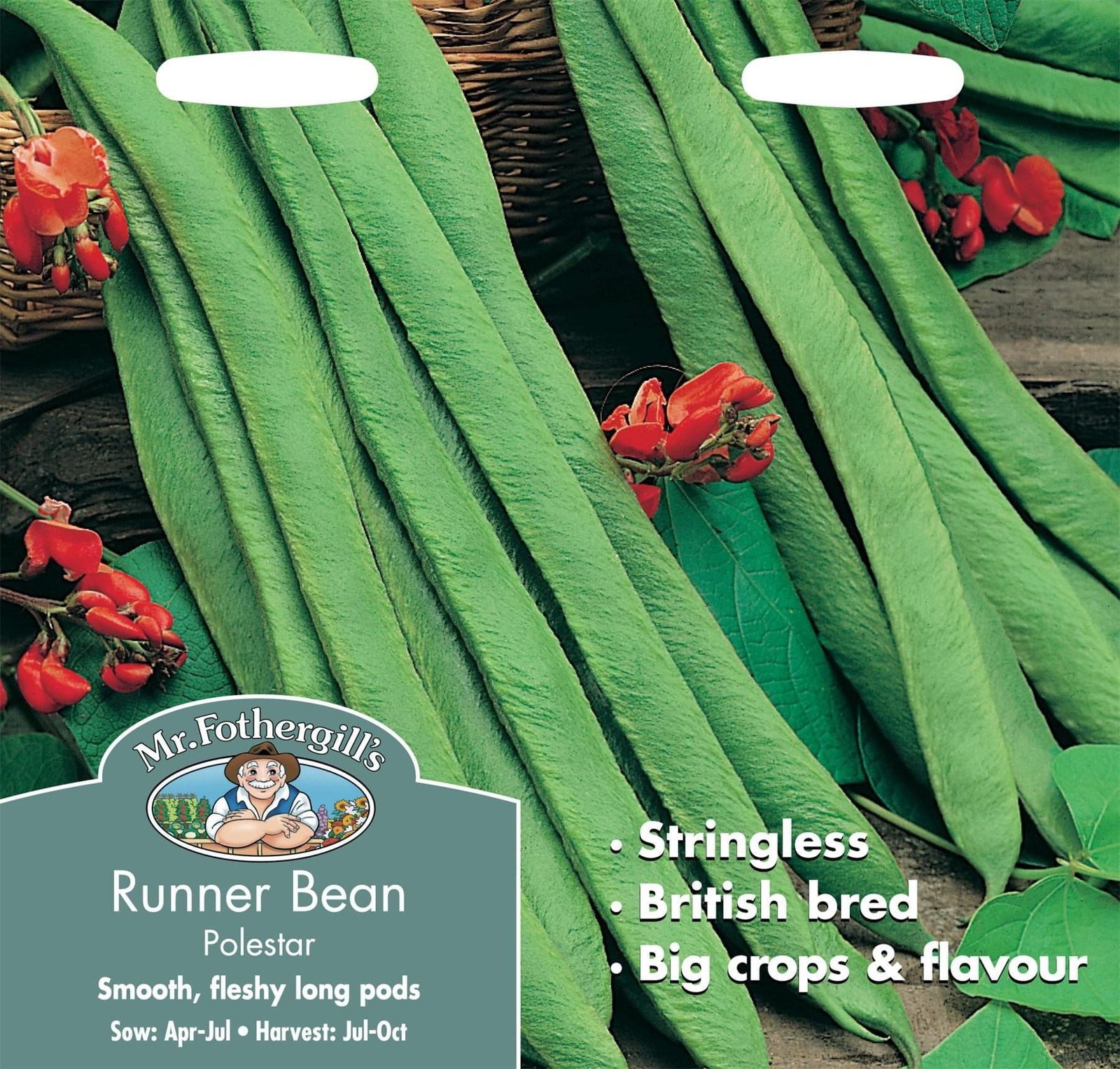 Mr Fothergills Runner Bean Polestar 50 Seeds