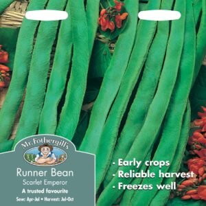 Mr Fothergills Runner Bean Scarlet Emperor 50 Seeds