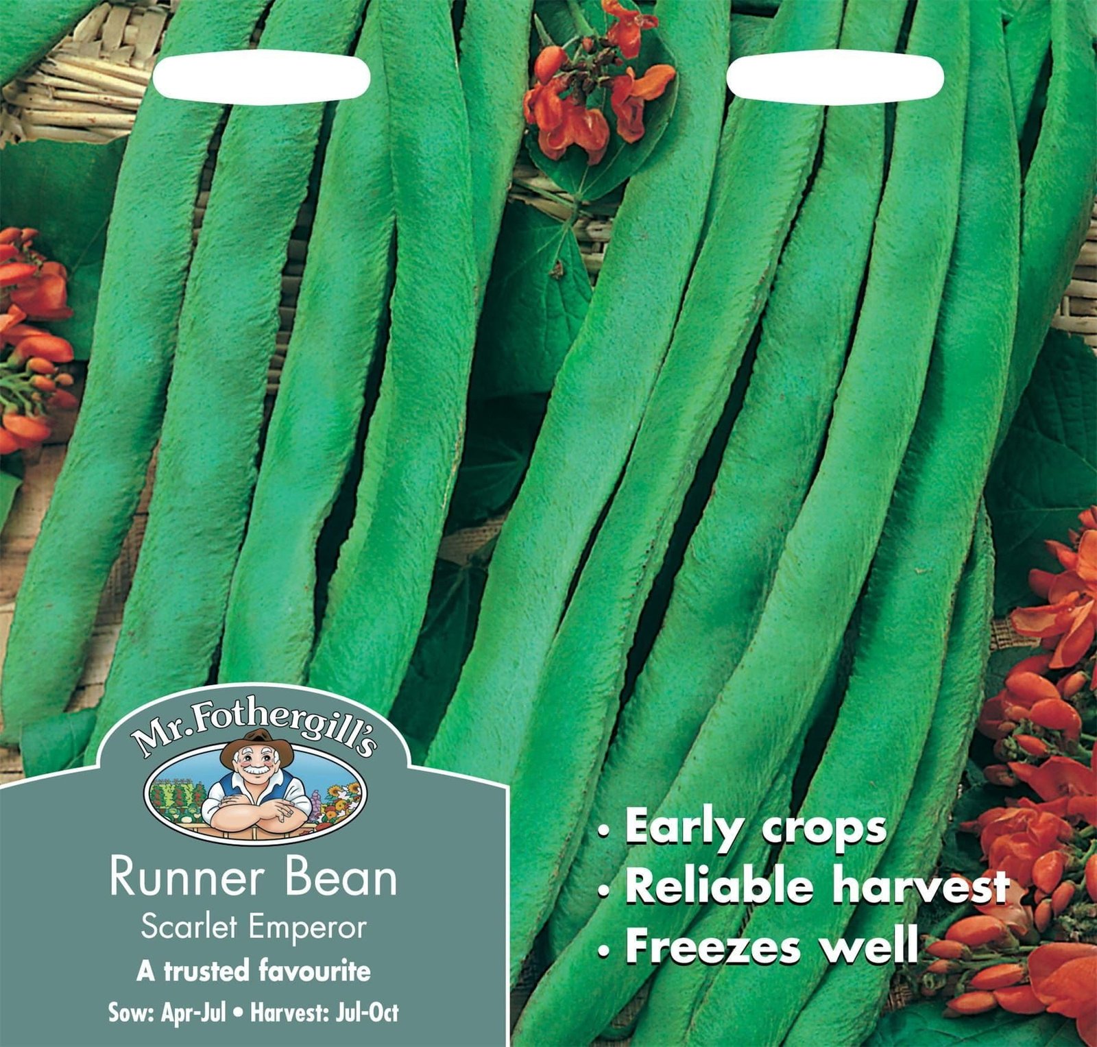 Mr Fothergills Runner Bean Scarlet Emperor 50 Seeds