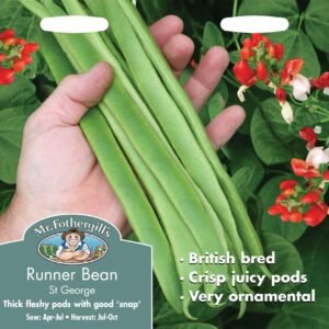 Mr Fothergills Runner Bean St George 40 Seeds
