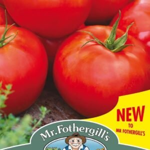 Mr Fothergills Tomato Big Daddy F1 Hybrid 20 Seeds
