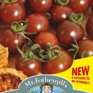 Mr Fothergills Tomato Black Opal 15 Seeds