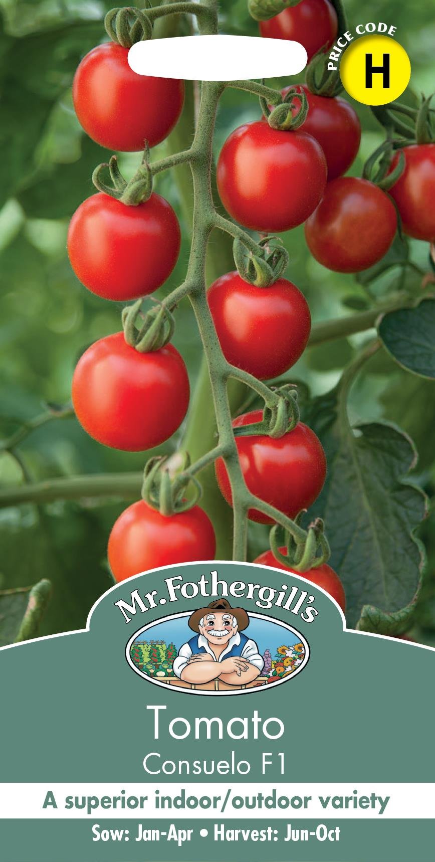 Mr Fothergills Tomato Consuelo F1 - 10 Seeds