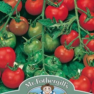 Mr Fothergills Tomato Gardener's Delight 50 Seeds