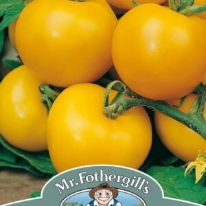 Mr Fothergills Tomato Golden Sunrise 50 Seeds