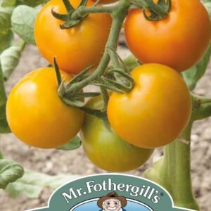 Mr Fothergills Tomato Merrygold F1 - 10 Seeds
