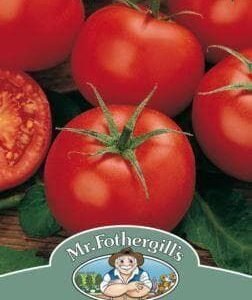 Mr Fothergills Tomato Moneymaker 100 Seeds