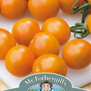 Mr Fothergills Tomato Orange Paruche F1 Hybrid 10 Seeds