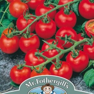 Mr Fothergills Tomato Red Cherry 50 Seeds