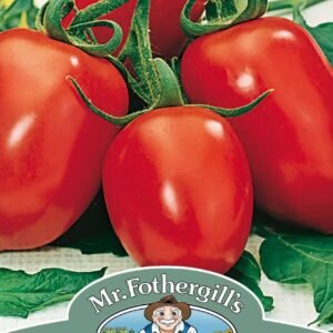 Mr Fothergills Tomato Roma VF 75 Seeds - Plum type