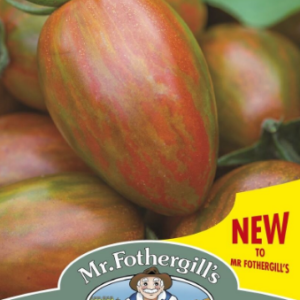 Mr Fothergills Tomato Shimmer F1 Hybrid 10 Seeds
