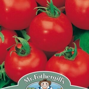 Mr Fothergills Tomato Shirley F1 Hybrid 8 Seeds