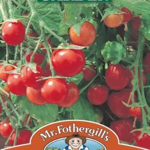 Mr Fothergills Tomato Tumbling Tom Red 15 Seeds