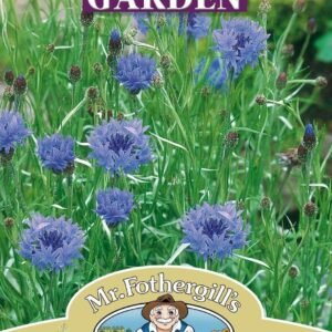 Mr Fothergills Wildflower Cornflower 150 Seeds